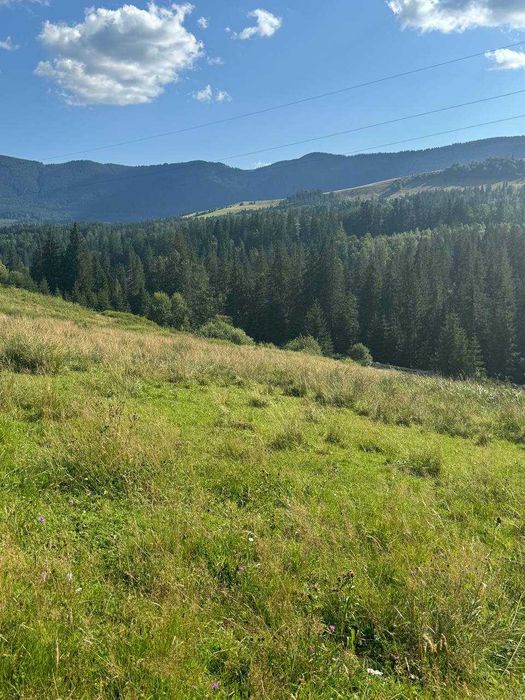 Продається ділянка в Кривопіллі