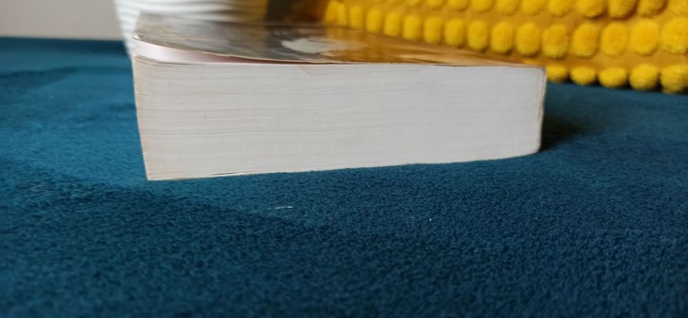 Na szczycie K.N. Haner Miłość w rytmie rocka (tom 1)