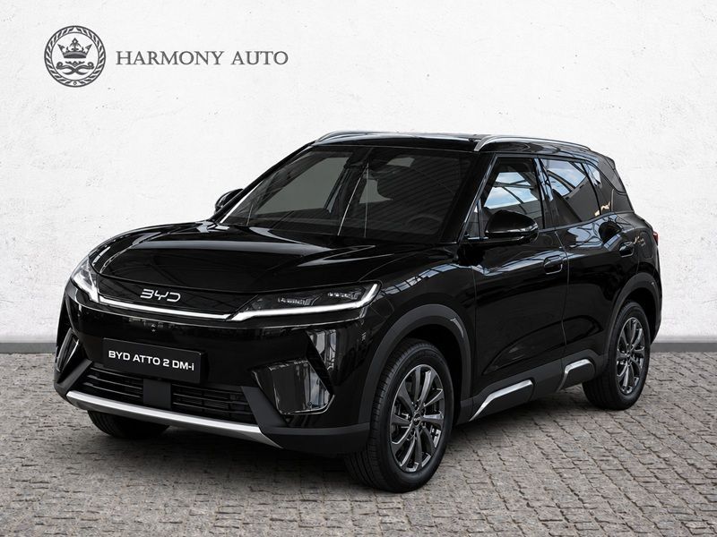 BYD Pozostałe BYD
