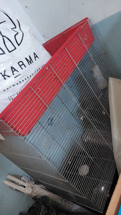 Продам клітку для папуг гризунів