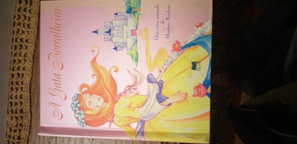 Livro de A Gata Borralheira