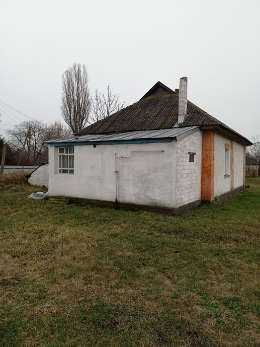 Продам садибу в селі Чемер. Траса Чернігів-Київ.