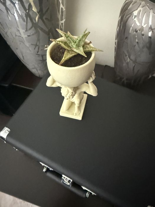 Vaso decorativo