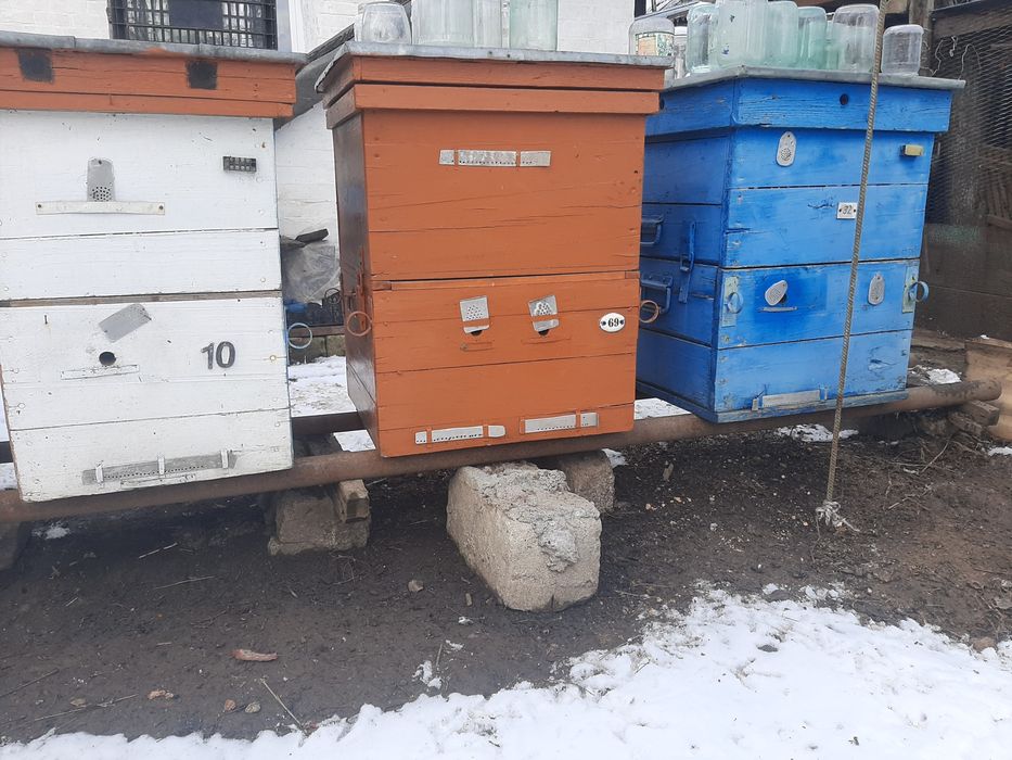 Продам бджолосімї вулики