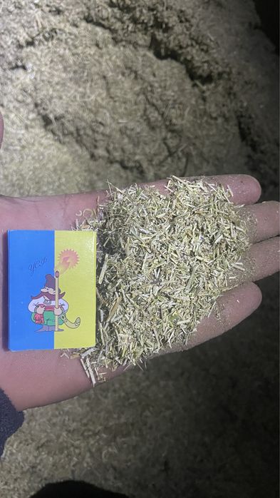 Мелена люцерка-та сіно