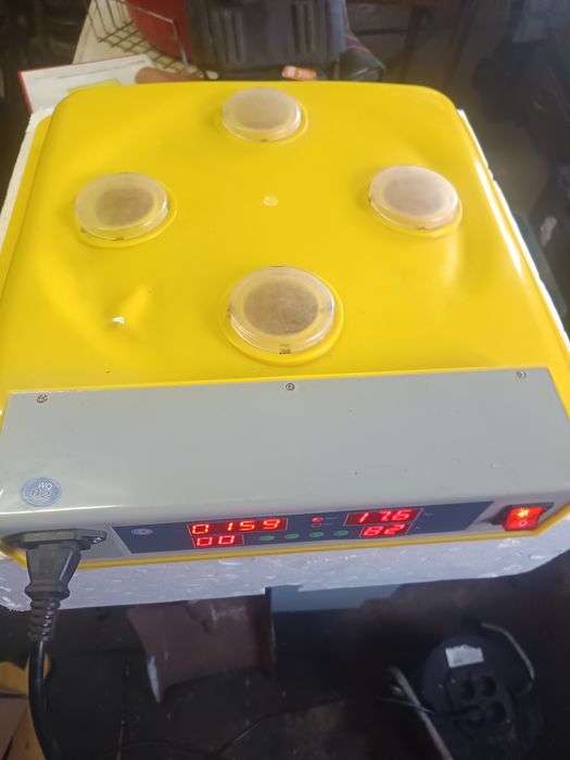 Chocadeira a funcionar