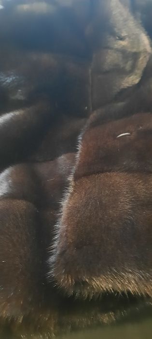 Шуба в ідеальному стані