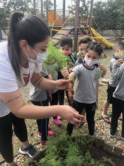 Ama - cuidadora de bebés e crianças