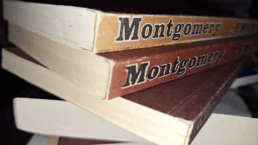 Seria "Emilka" Lucy Maud Montgomery. Świetny stan.