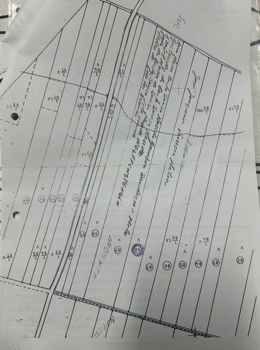 Terreno Rústico 11.040m² em Almeirim | Excelente Oportunidade