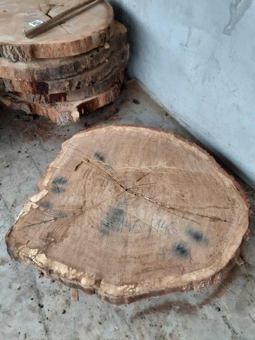 Drewno Dąb plastry 10 cm grubość, około 650 - 700 letni