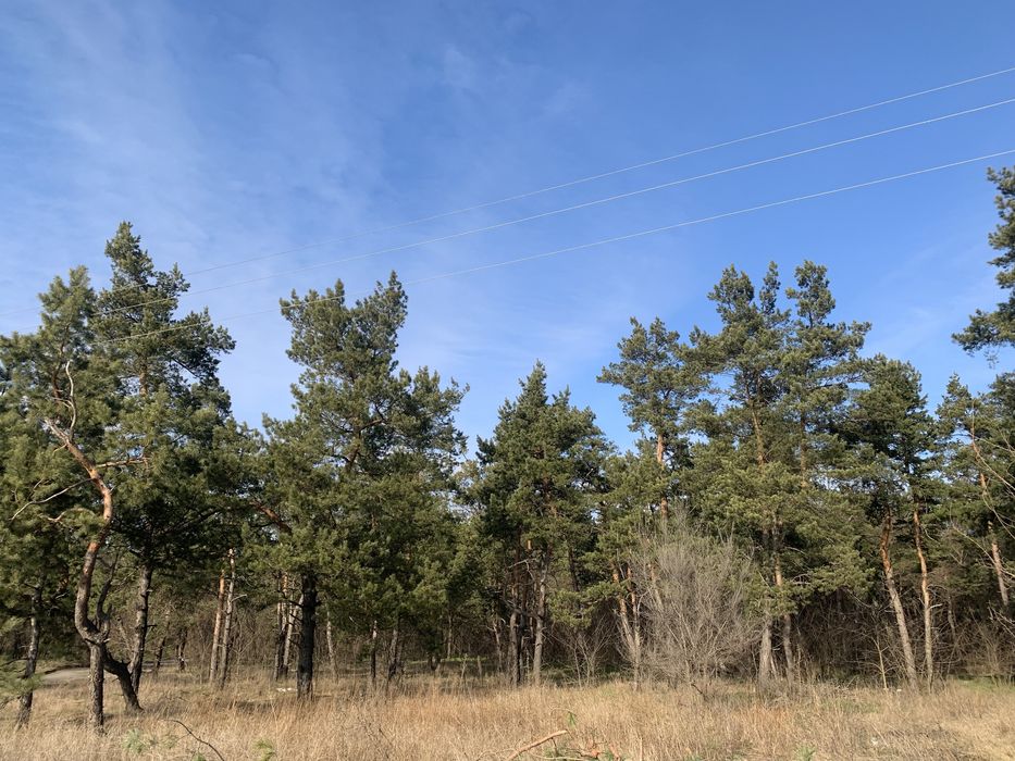 Продам участок 12 сот