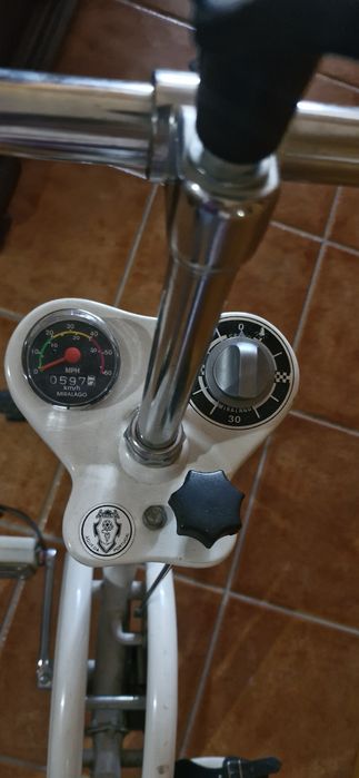 Bicicleta estática Miralago