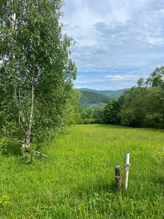 Земельна ділянка 0.18 га в Яремче