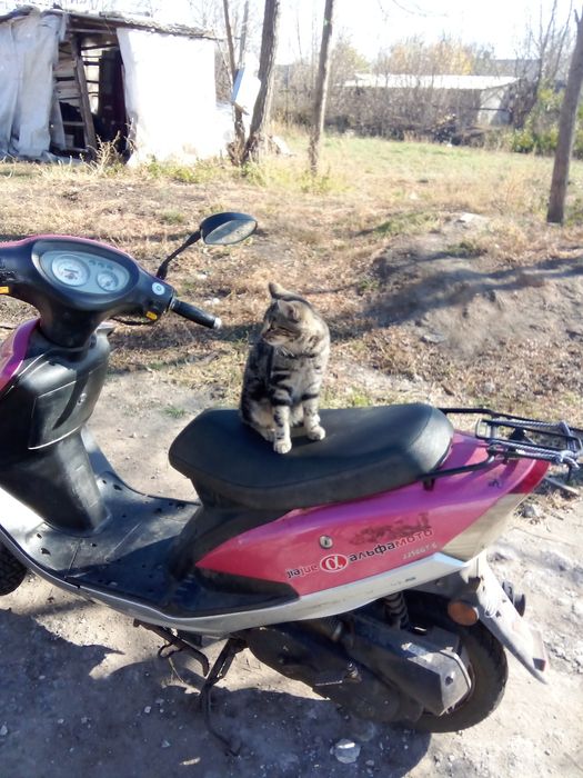 Продам скутер  на ходу