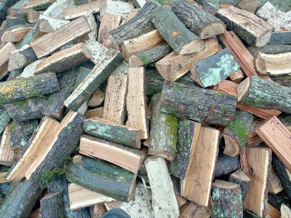 Продам дрова недорого (дуб, граб, черешня, вільха, сосна)