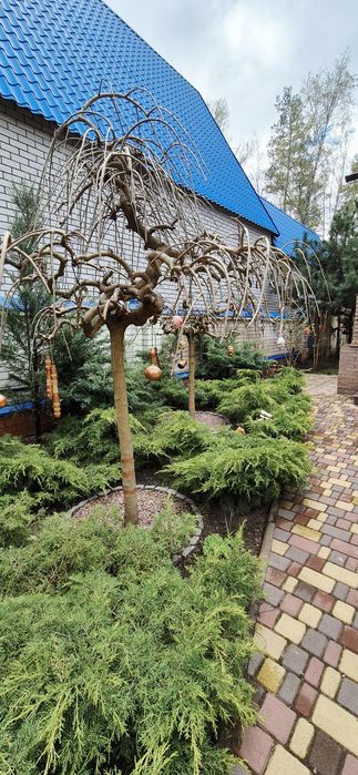 Продаж будинку с. Піщанка