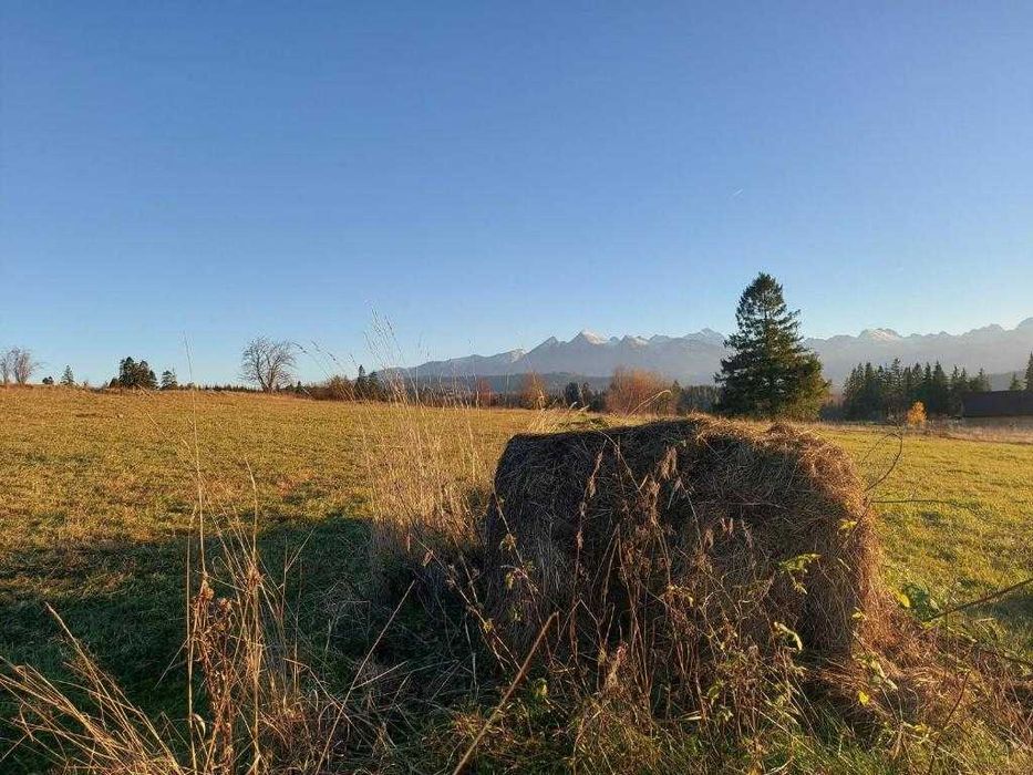 Domek z jacuzzi/widokiem/kominkiem/grillem/8 osobowy/Tatry BiałkaTatrz