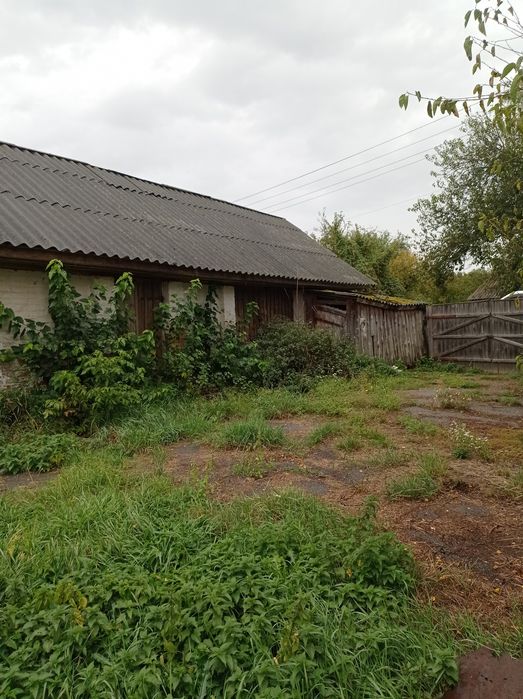 Будинок в 100км від Києва в селі Підлісне.