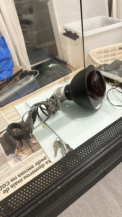 Terrario para cobra feito a medida