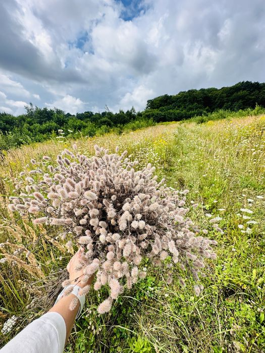 Продаж земельної ділянки біля Унівської лаври