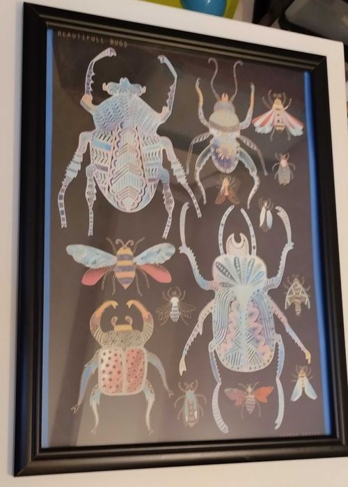 Beautiful Bugs de Hannah Davies