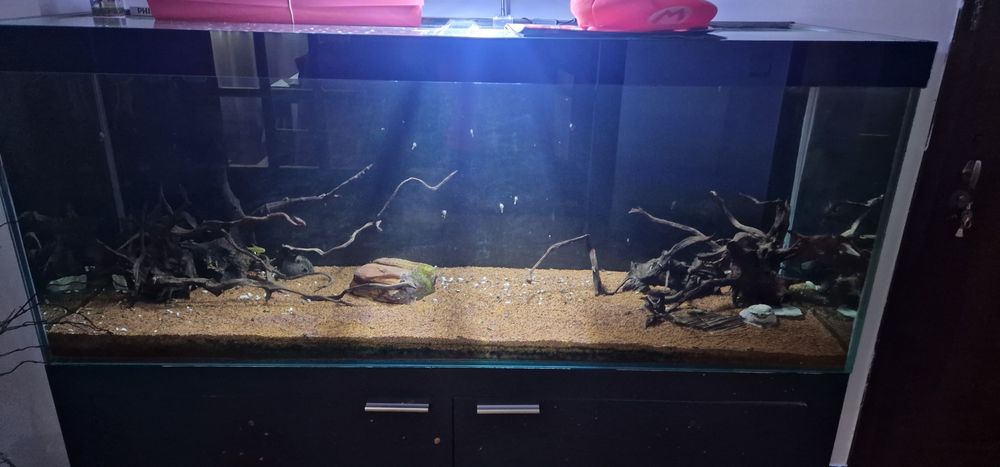 Aquario 150×50×60