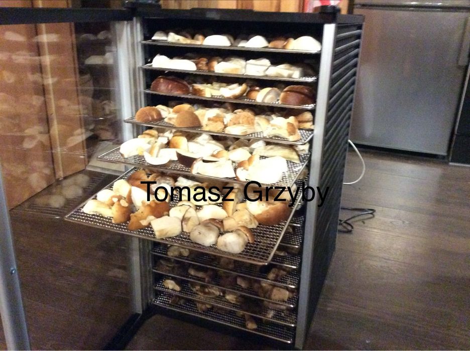 Grzyby suszone borowik szlachetny