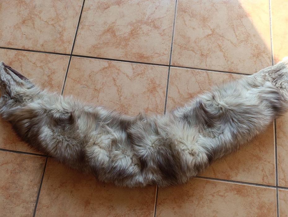 Kołnierz i czapka z lisa