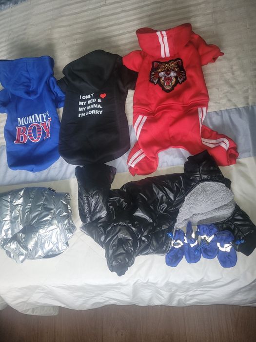 Продаю одяг для песика