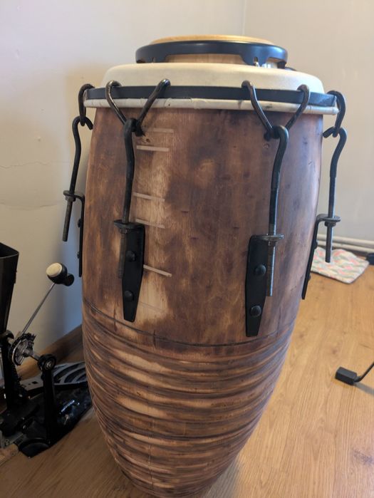 Conga 13 "x 65 cm wys.