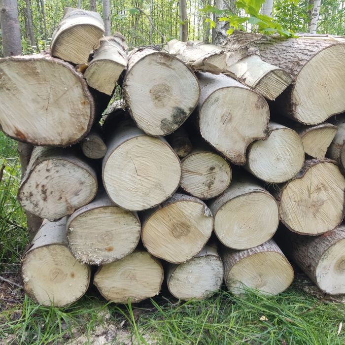 Drzewo kominkowe opałowe liściaste olszyna, brzoza osika metry
