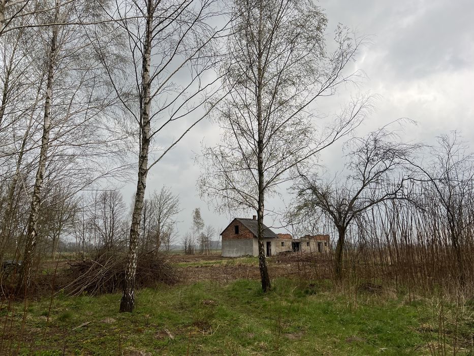 Działka budowlana 15km od Ciechanowa asfaltowy dojazd !!!