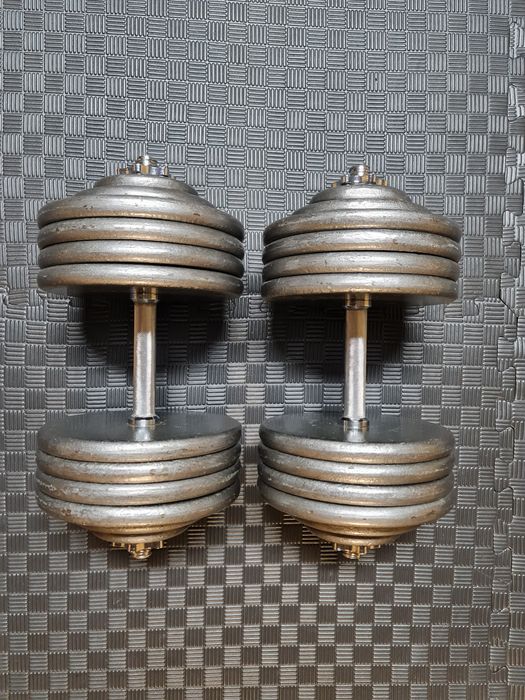 Hantle Regulowane 2 x 50 KG