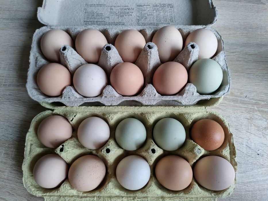 Wiejskie jajka z dowozem