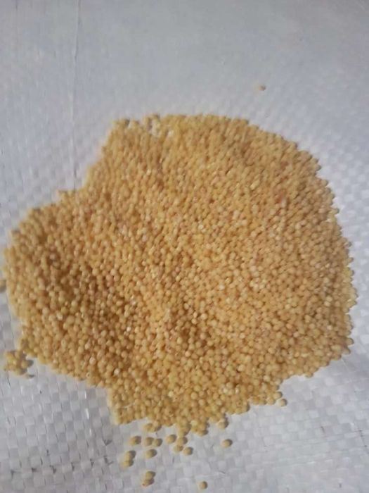 Kasza jaglana wysoka jakość