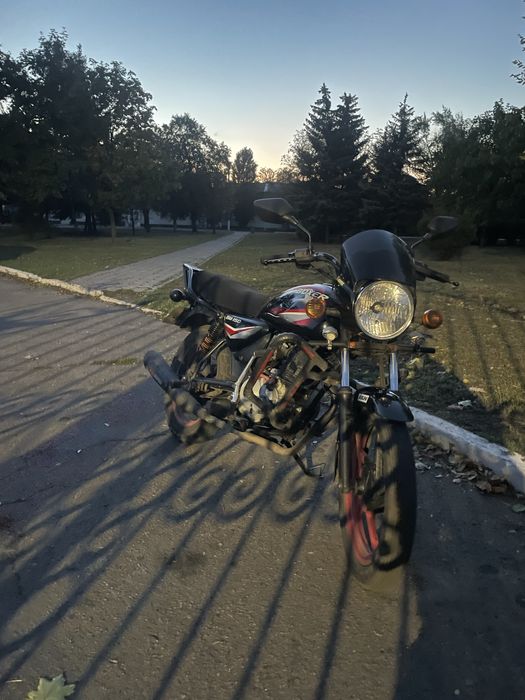 Боксер баджадж 150