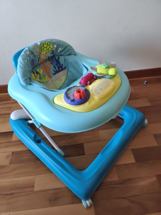 Aranha andarilho.  primeiros passos