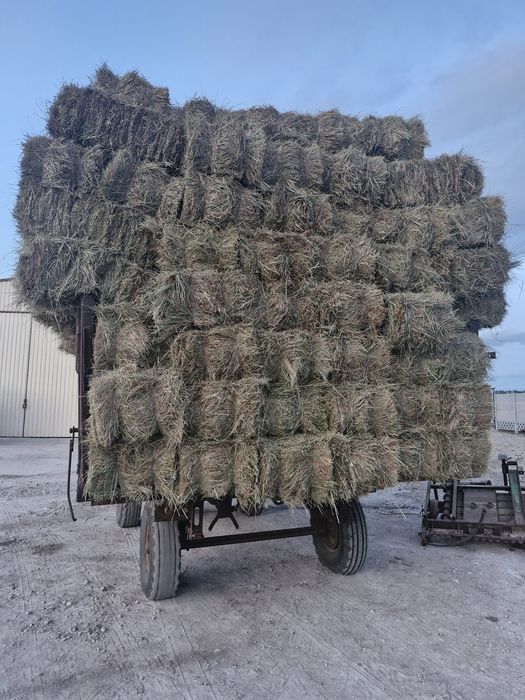 Продам сіно лугове, і люцерни