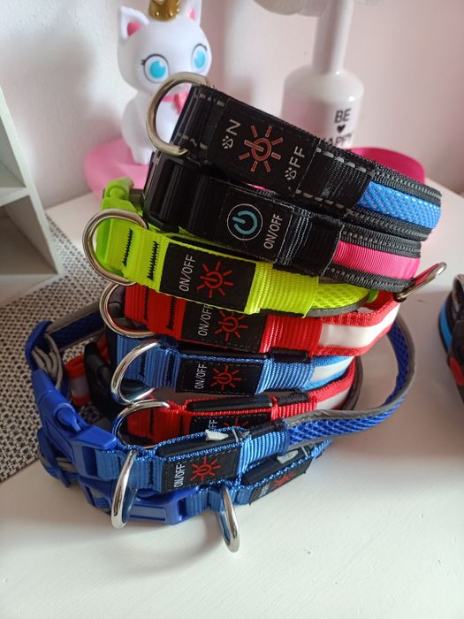 Obroża  LED dla psa lub kota