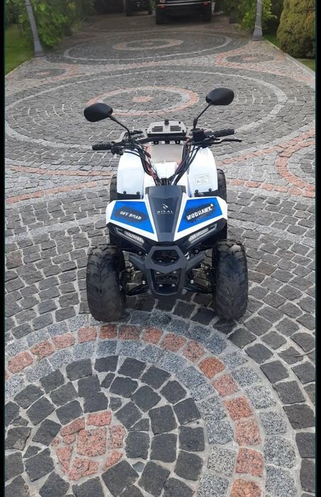 Квадроцикл ata rival 110cc