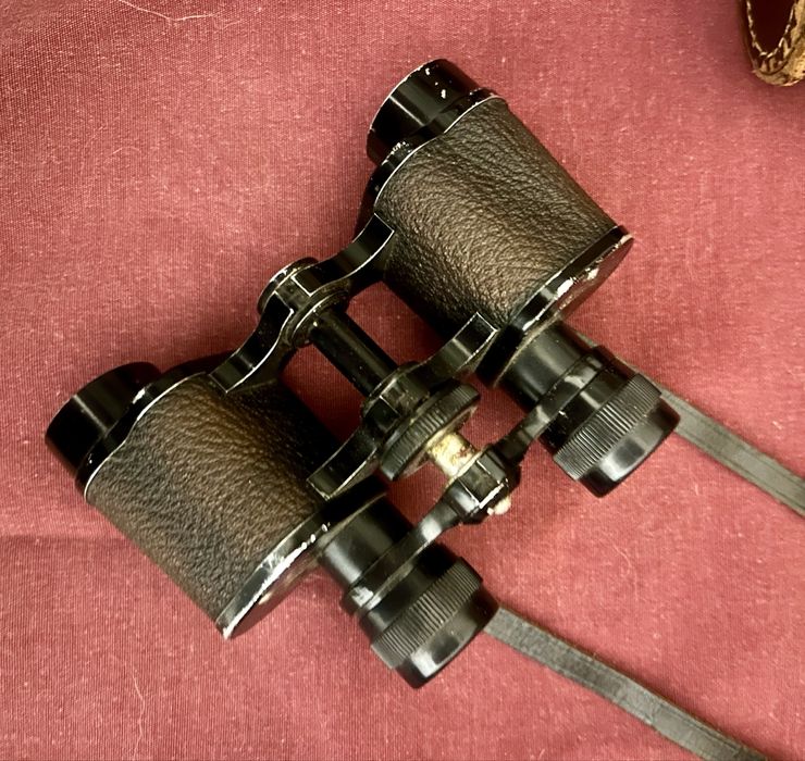 Binoculos Denhill 8x25