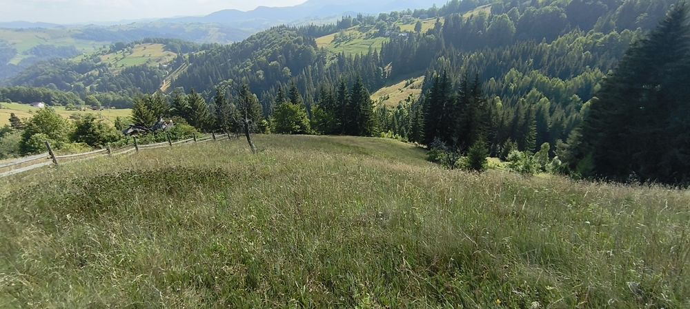 Земельна ділянка 25 сот забудова і 60 можливий обмін на недорий джип з вашов доплатовсг