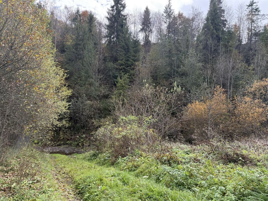 Продається ділянка у с. Подобовець гори Карпати