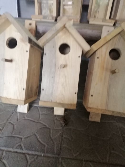 Шпаківня, синичники