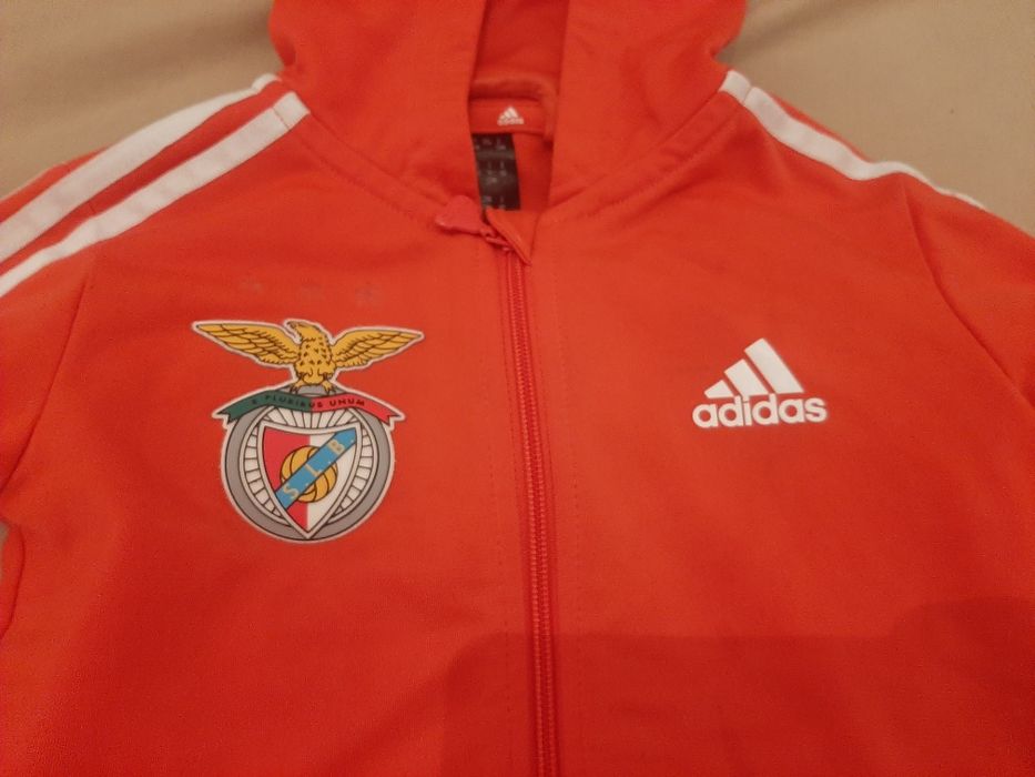 Fato treino Adidas Benfica criança