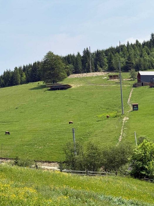 Ділянка в горах  з гарним краєвидом біля Буковеля