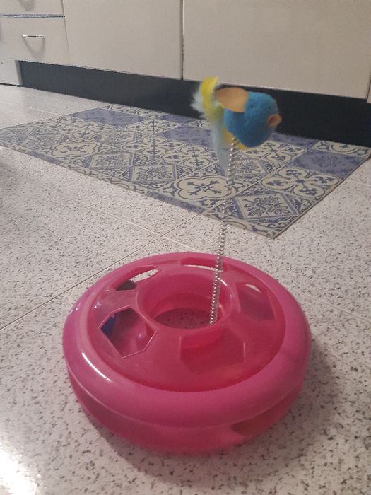 Brinquedo gatinhos