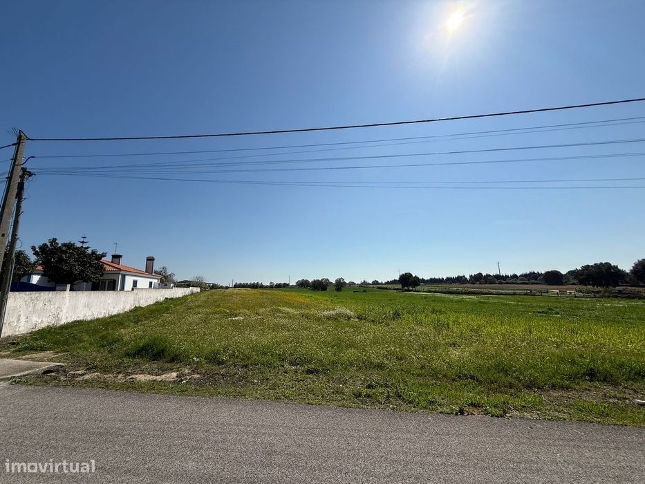 I present a plot of land with a total area of 3,880 m² located in Cartaxo