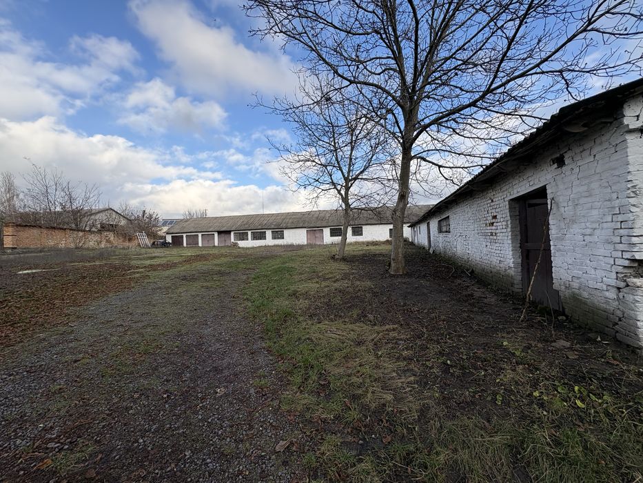 Комерційне приміщення